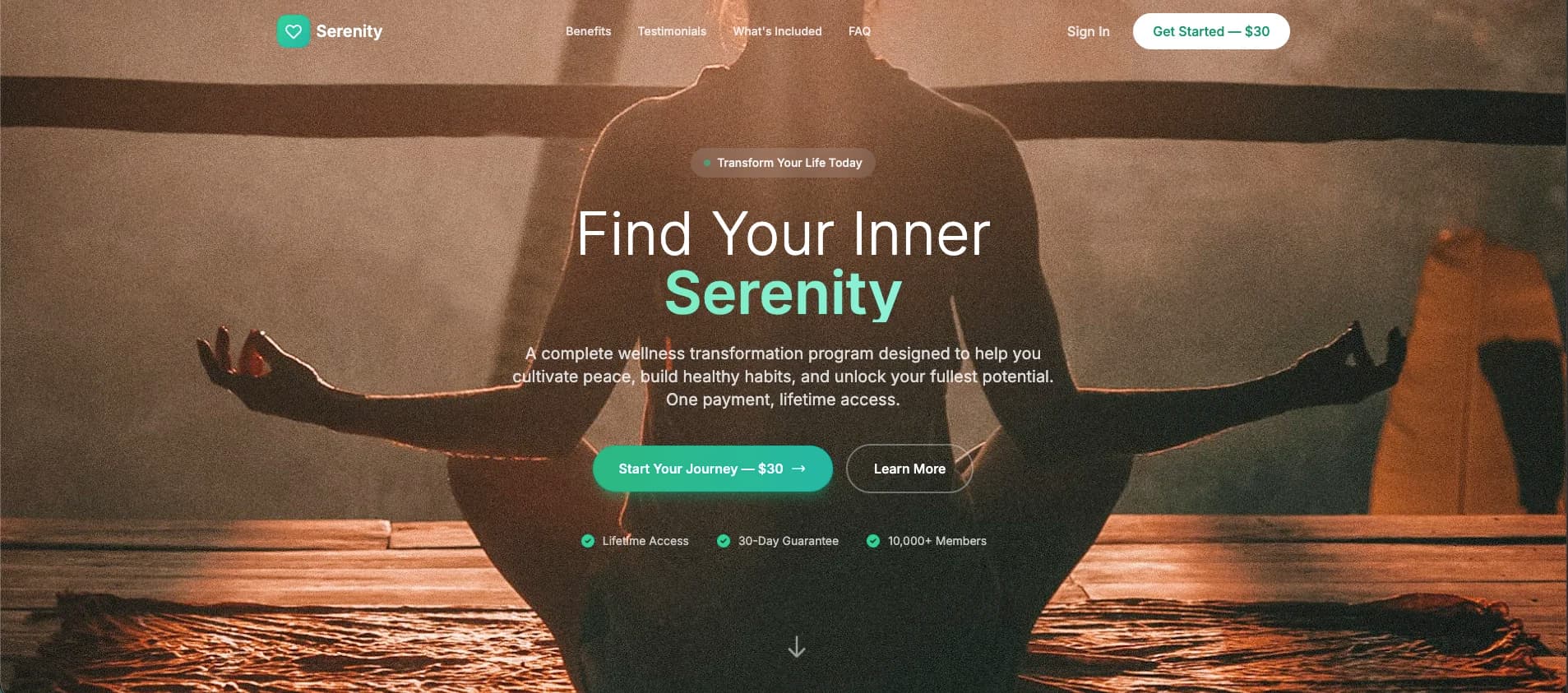 Wellness Payment Simple preview